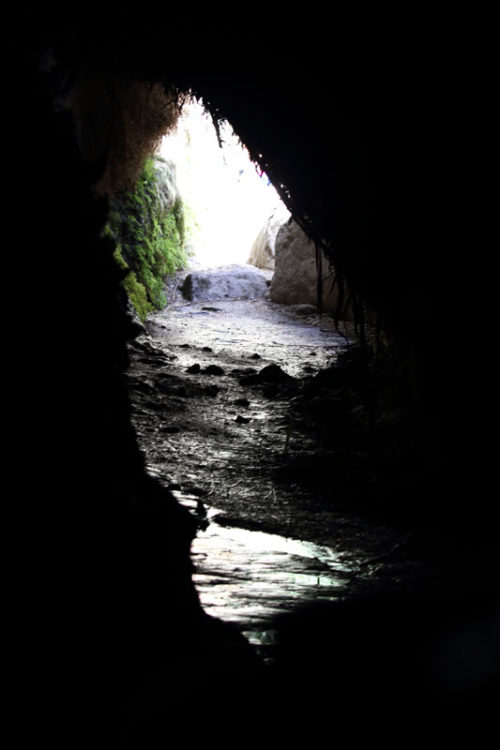 Canopy Cave