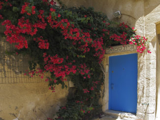 Entryway With Flowers-Jaffa