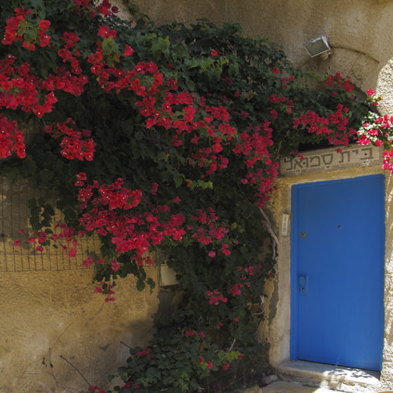 Entryway With Flowers-Jaffa